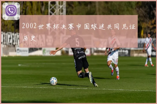 2002世界杯决赛中国球迷共同见证历史