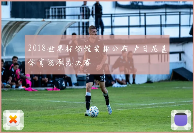 2018世界杯场馆安排公布 卢日尼基体育场承办决赛